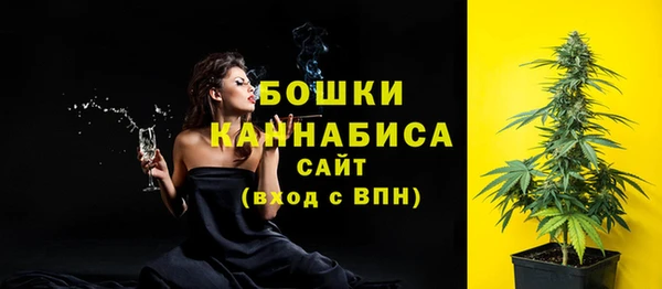 дживик Горнозаводск
